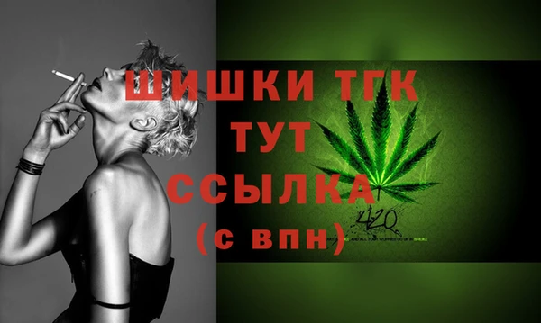 гидра Балахна