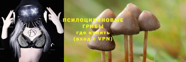 ПСИЛОЦИБИНОВЫЕ ГРИБЫ Баксан