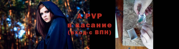 ПСИЛОЦИБИНОВЫЕ ГРИБЫ Баксан