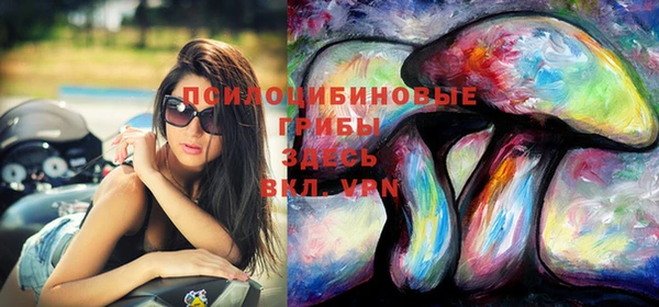 метадон Арсеньев