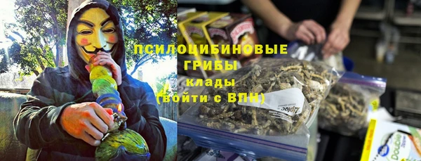 ПСИЛОЦИБИНОВЫЕ ГРИБЫ Баксан