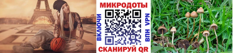 Галлюциногенные грибы Magic Shrooms  закладки  Пролетарск 